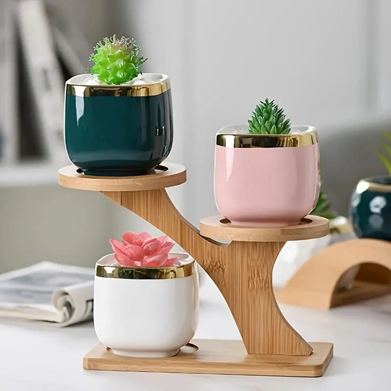 Bamboo Multi-Tier Plant Stand – Desktop Succulent Pot Holder