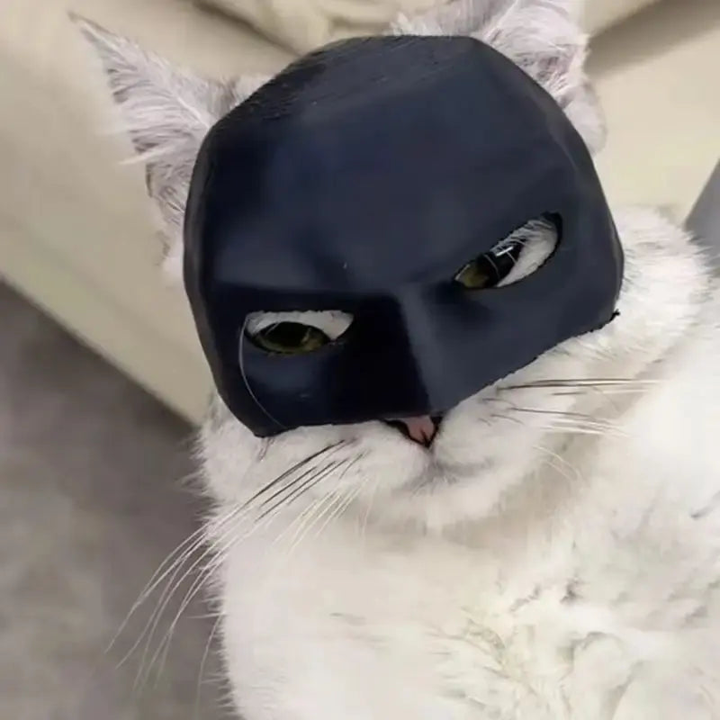 Superhero Cat Mask – Funny Pet Costume