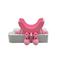 Funny Sitting Sponge Holder with Drainage