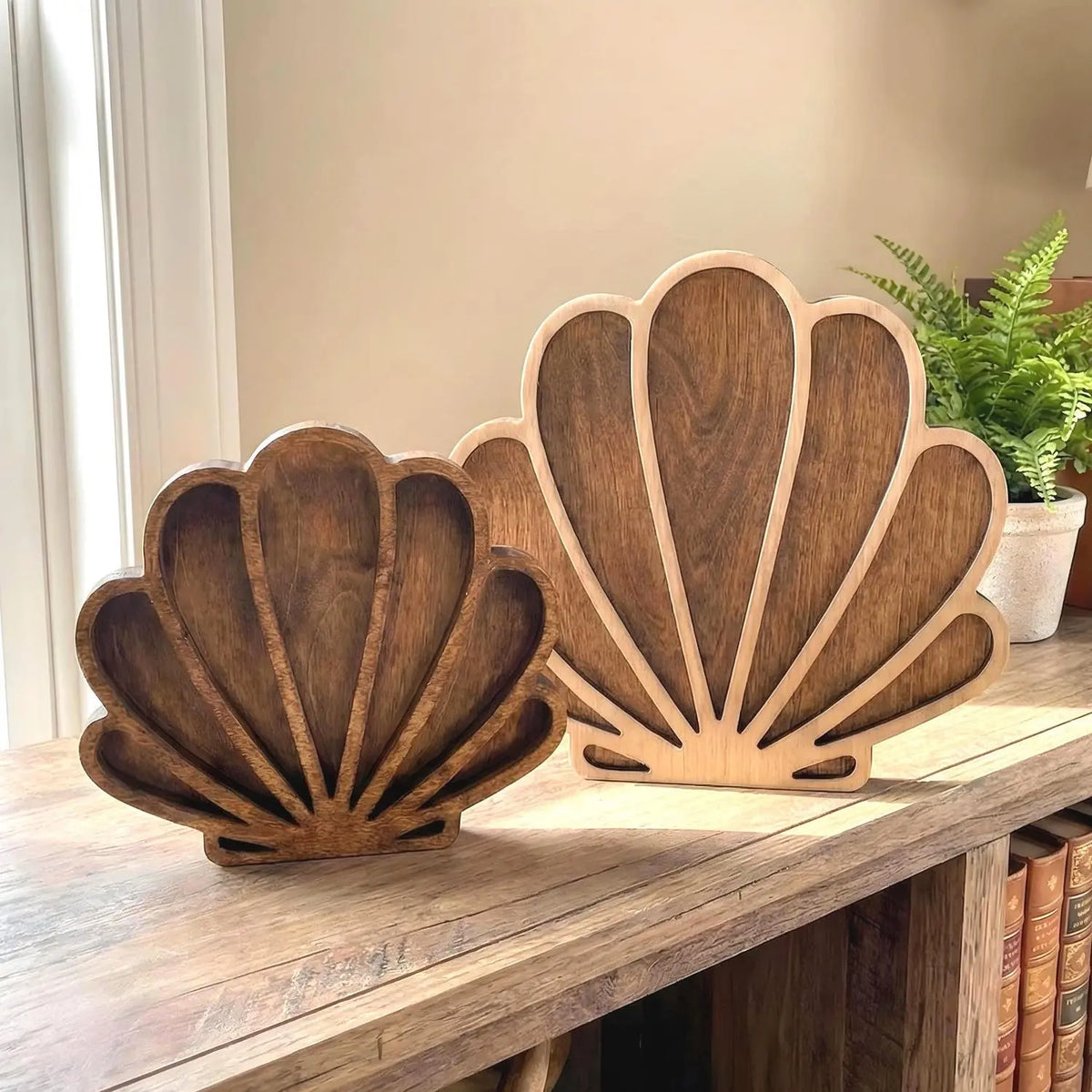 Wooden Seashell Display Box – Coastal Beach Decor Shadow Box