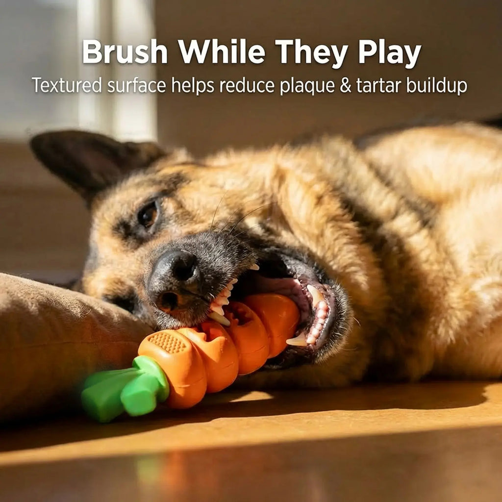 Carrot Dog Chew Toy – Durable Interactive Dental Toy
