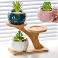 Bamboo Multi-Tier Plant Stand – Desktop Succulent Pot Holder